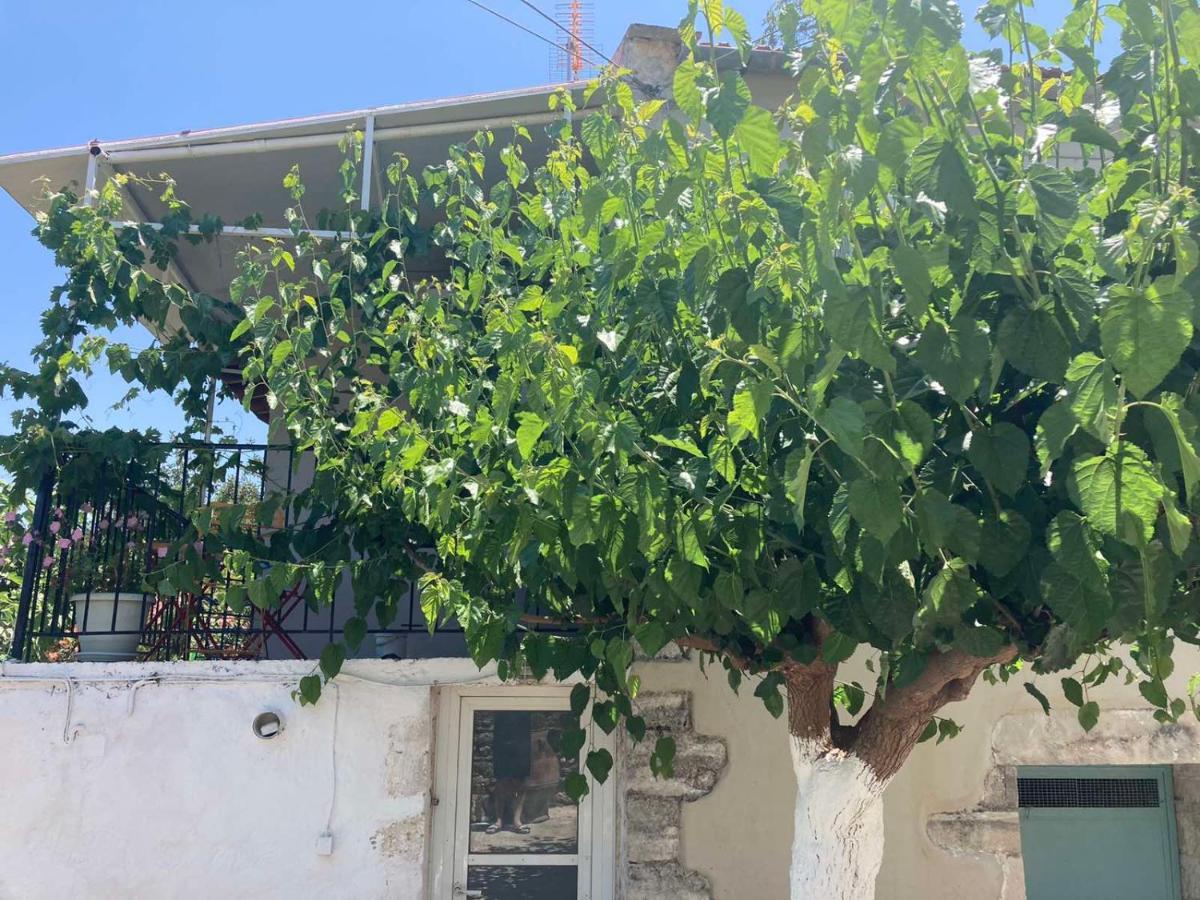 Sergios Village House Chrissi Akti Chania Exterior foto