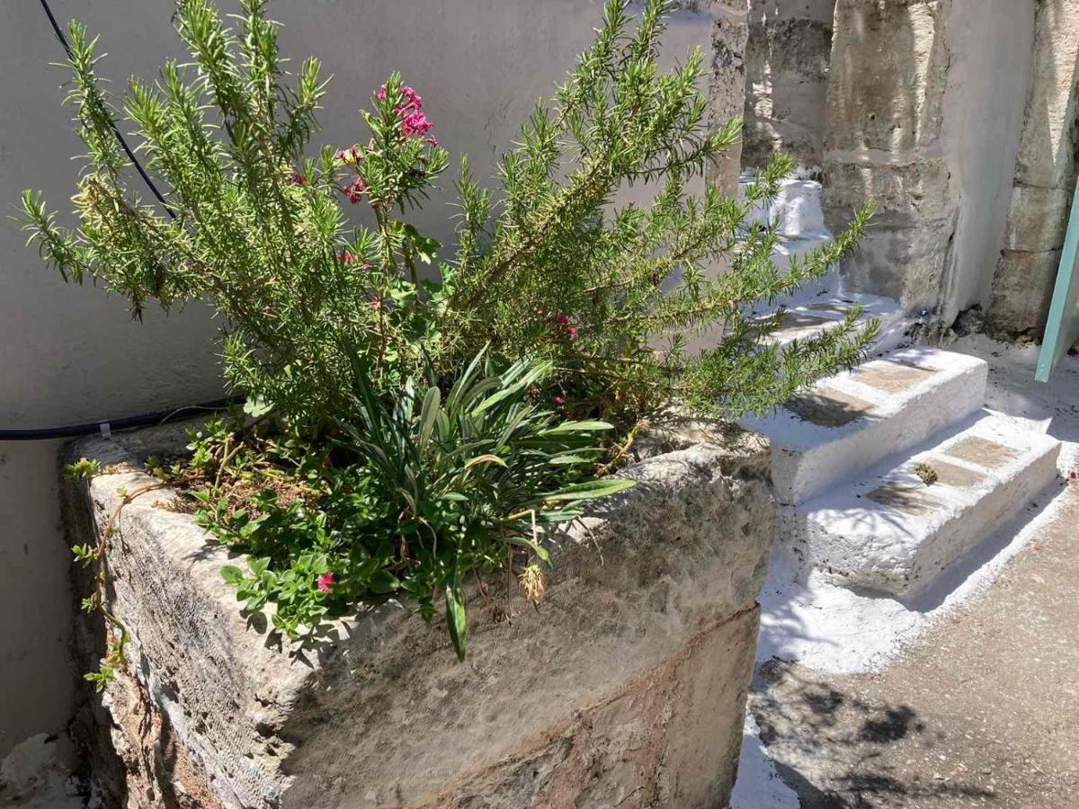 Sergios Village House Chrissi Akti Chania Exterior foto