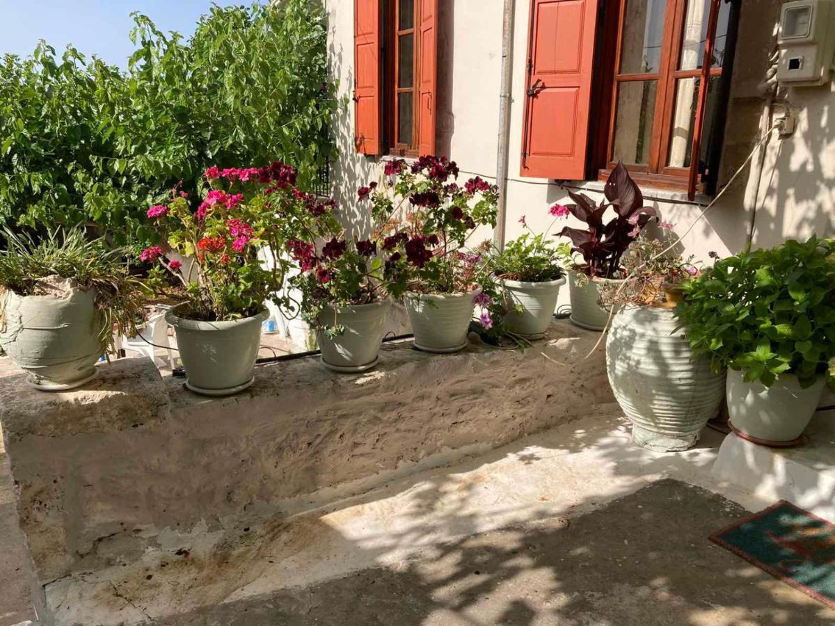 Sergios Village House Chrissi Akti Chania Exterior foto