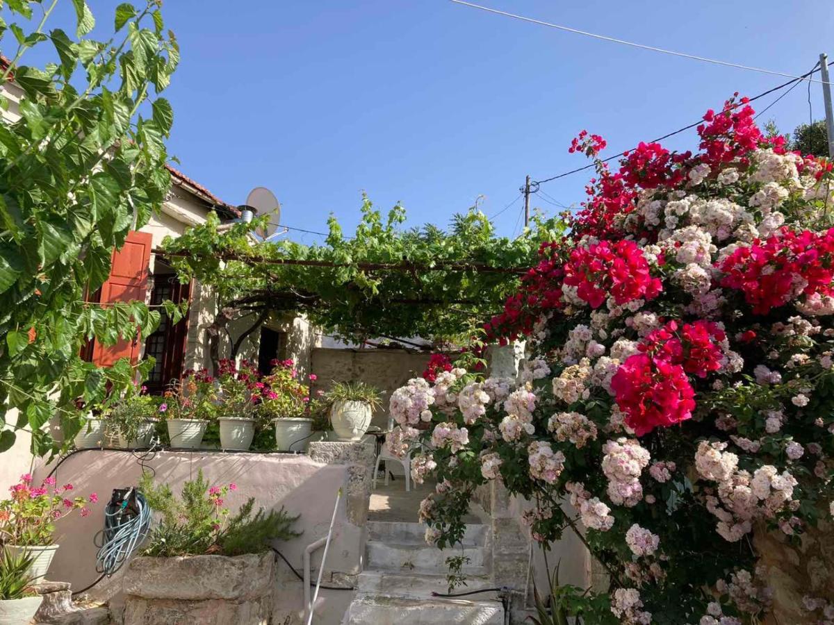 Sergios Village House Chrissi Akti Chania Exterior foto