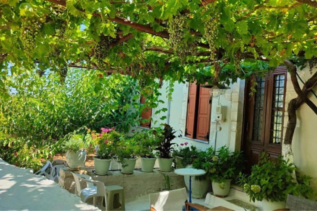 Sergios Village House Chrissi Akti Chania Exterior foto