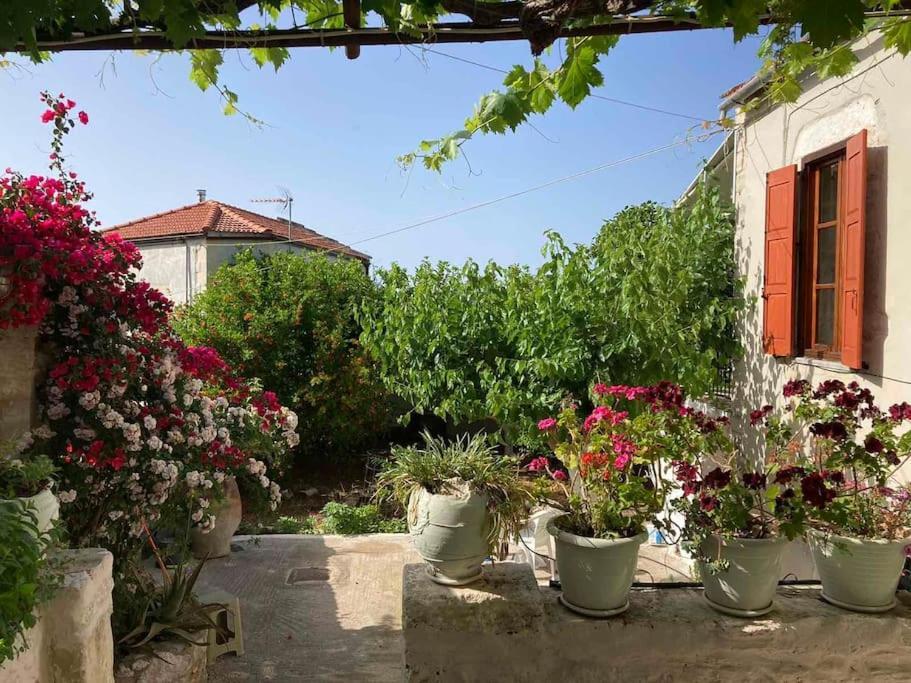Sergios Village House Chrissi Akti Chania Exterior foto