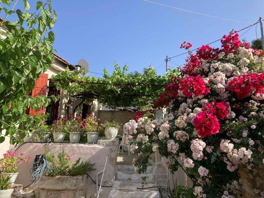 Sergios Village House Chrissi Akti Chania Exterior foto