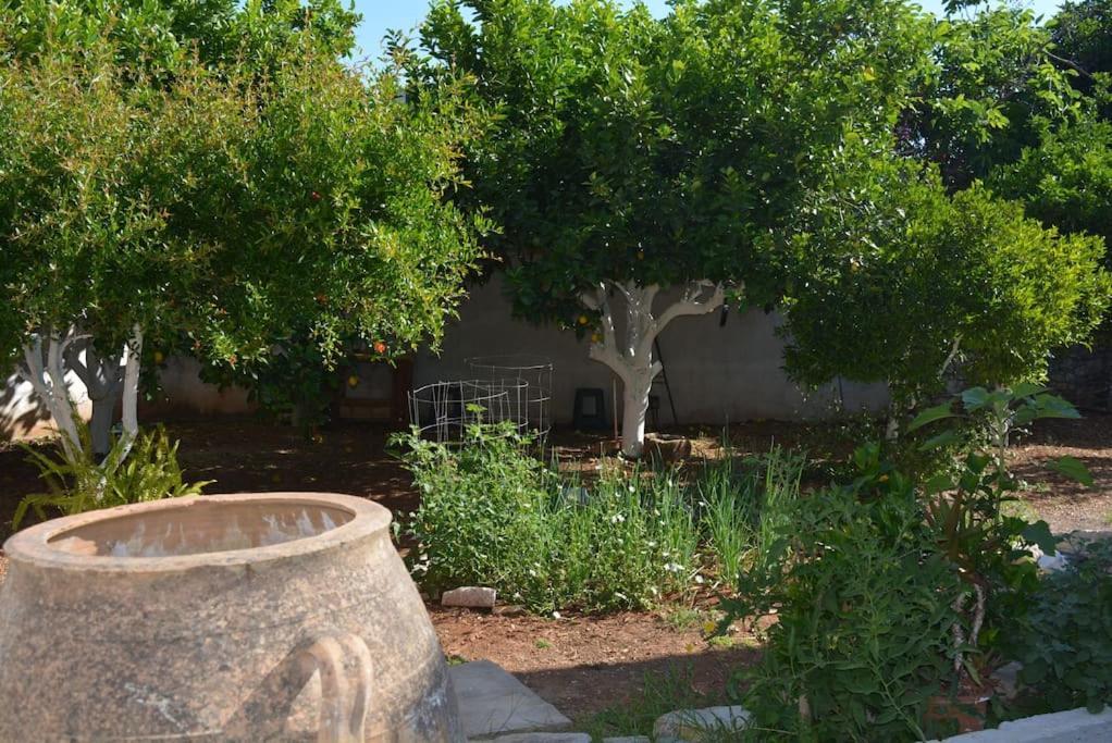 Sergios Village House Chrissi Akti Chania Exterior foto